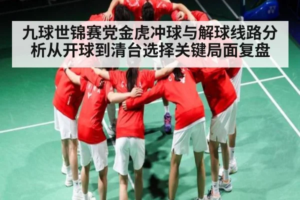九球世锦赛党金虎冲球与解球线路分析从开球到清台选择关键局面复盘